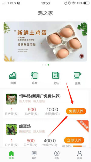 鸡之家下蛋赚钱免费认养
